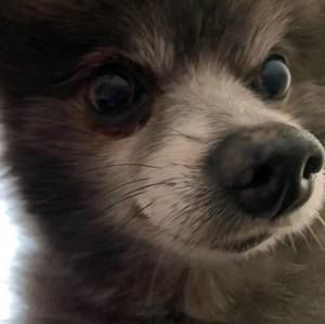 Meet your Posher, Nathaniel